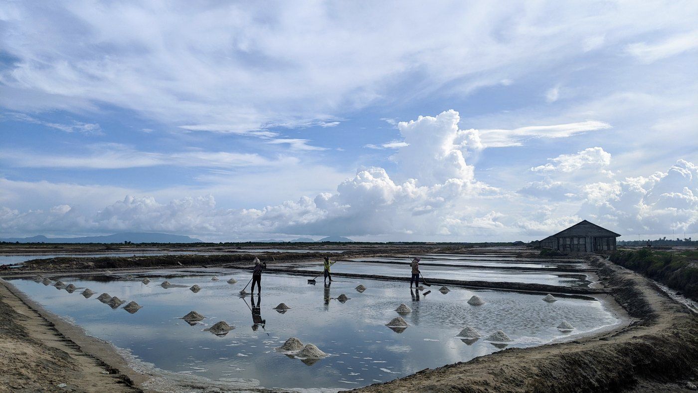 A salt worker pulling a rake across the shallow evaporation pools of the Kampot salt fields