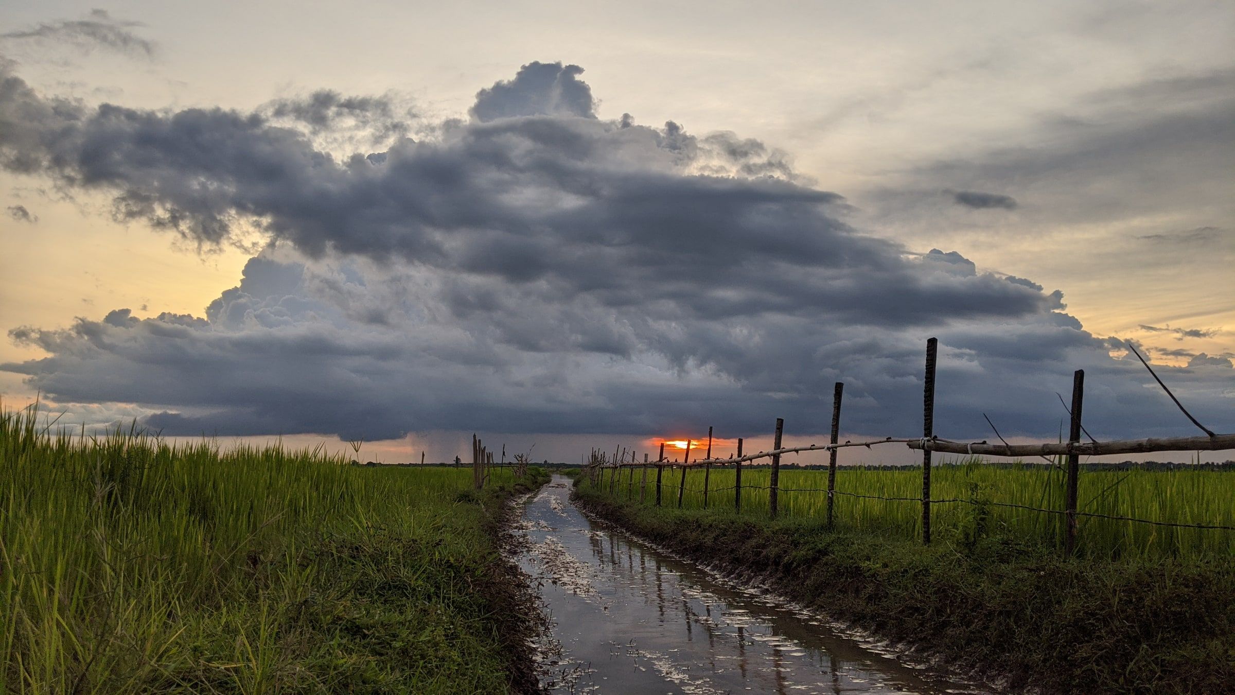 Storm clouds building over rice fields at dusk, a flooded track running toward the horizon